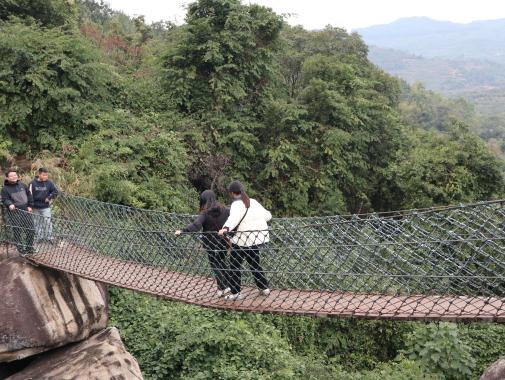 Mountaineering cable bridge